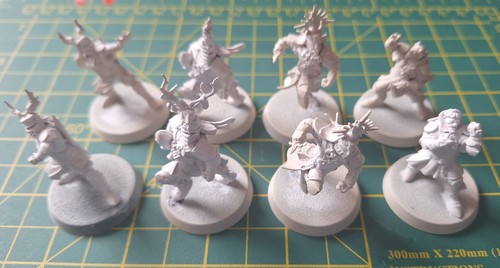 Blood bowl brettonian - gw,