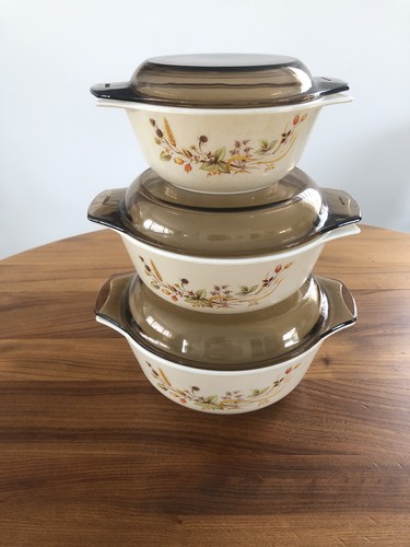 Pyrex harvest pattern set - harvest,