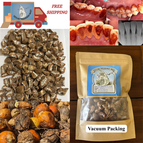 1000pcs sun dried ceylon areca - 1000pcs,