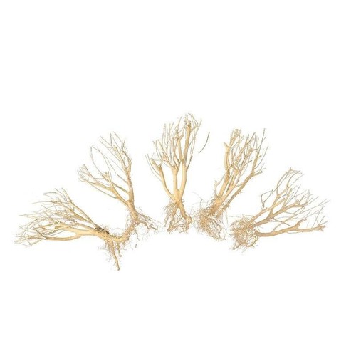 Set natural slim - set, 4