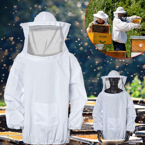 Bee suit professional - bee,