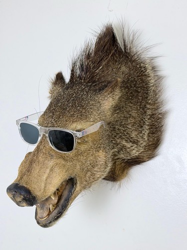 Vintage javelina shoulder - vintage,