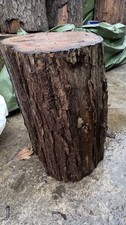 Tree Stumps/ seats / Stools / Home Garden Furniture ￼