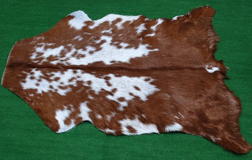 Luxury goat hide - luxury,