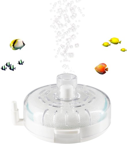 Aquarium small fish tank - aquarium,