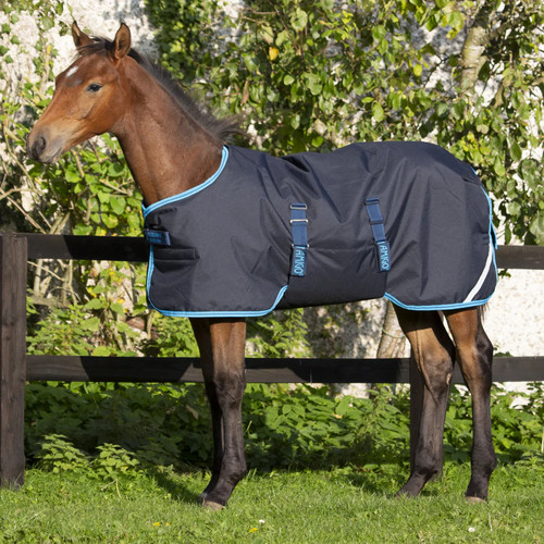 Horseware ireland amigo - ireland, foal