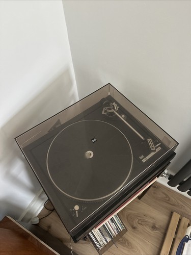 Dual 504 record - 504, player