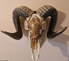  Ram head Skull Mounted