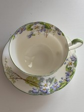 Paragon by Appointment “Wild