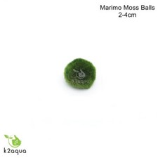 ALL sizes MARIMO MOSS BALLS