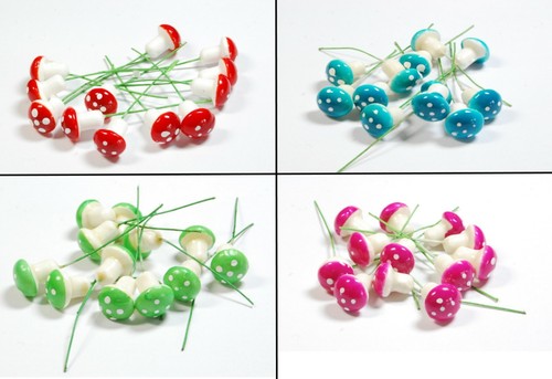 Mini toadstools mushrooms - /,