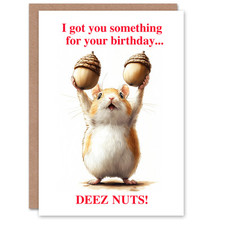 Rude Funny Birthday Card Deez Nuts For Him Man Men Husband Greeting Card