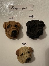Brown Black Colored Shar-pei