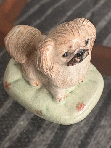 Miranda smith pekingese dog - pekingese,