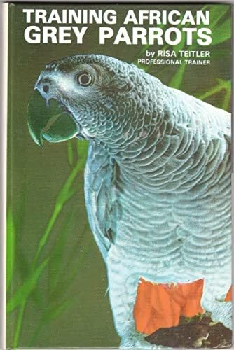 Training african grey parrots - training,
