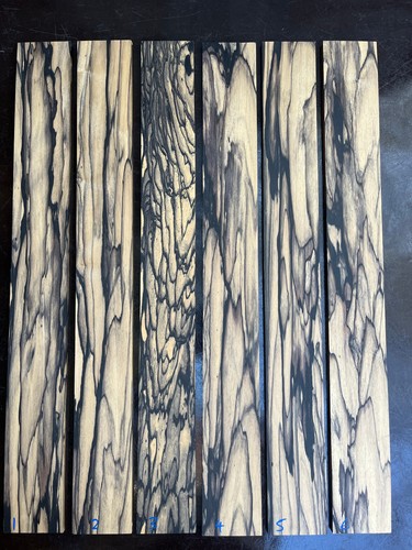 Pale moon ebony string bass - ebony,
