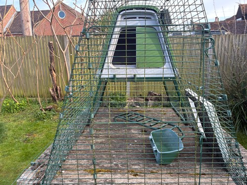 Green eglu chicken coop - green,