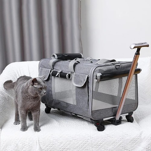Extra large detachable dog - large, &