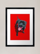 Panting Dog Staffy Bull