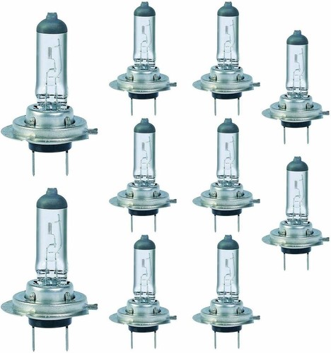 Bulbs 12v - h7,