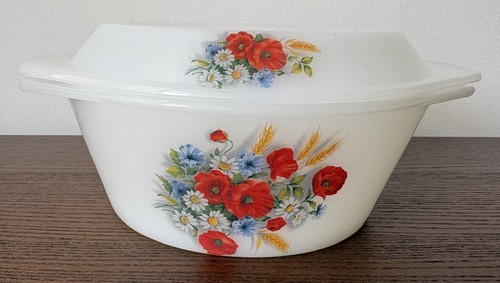 Vintage arcopal france - vintage,