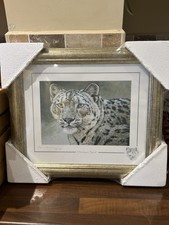 Stephen Gayford Himalayan