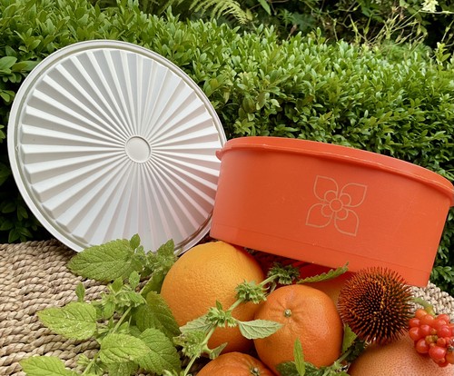 Vintage tupperware harvest - vintage,