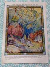 Vintage Print Fish Coral