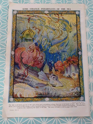 Vintage print fish coral - vintage,