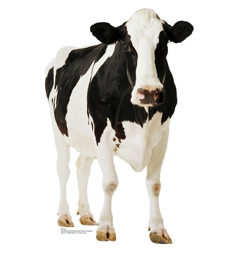 Cow stand party decoration - cow,