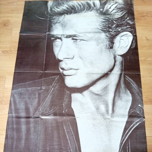1980 rare james - james, large