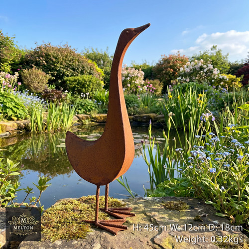 Rusty bird metal duck - bird,