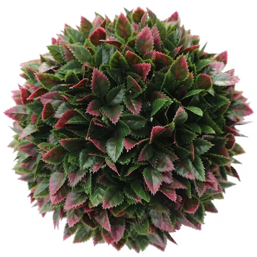 Red rose topiary - rose,