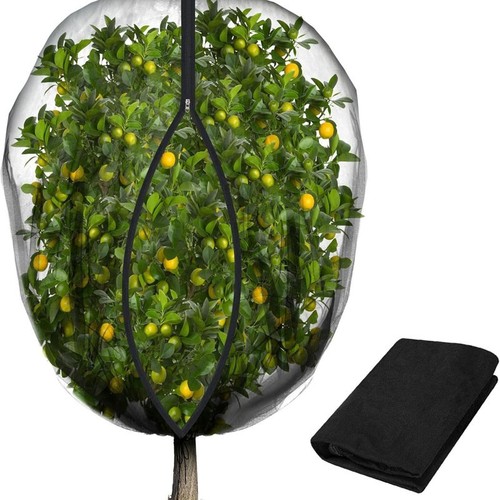 Black large fruit - large, netting