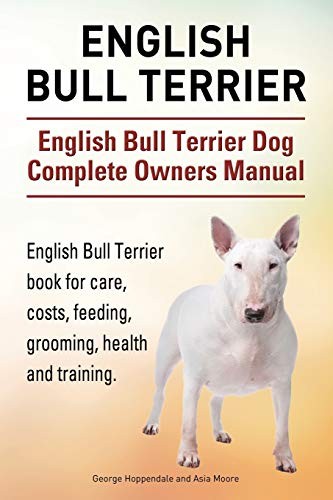 English bull terrier - bull,