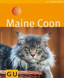 Maine coon plus - maine, gu-leser