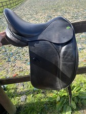 Black Silhouette Dressage