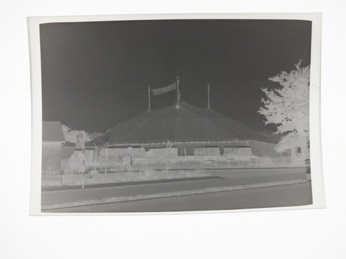 Bertram mills circus - mills,