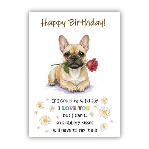 French bulldog birthday card - french,