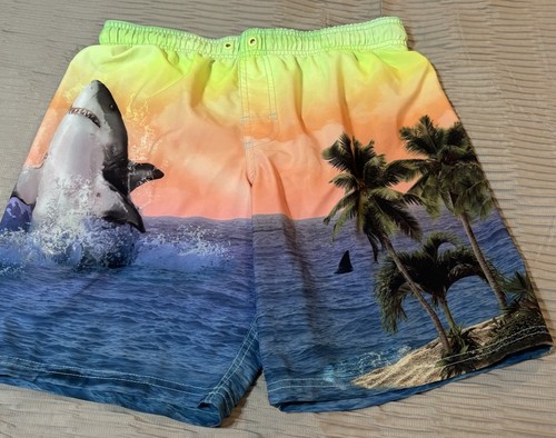 Wonder nation swim trunks boys - wonder,