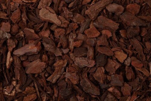 Litre orchid bark chips - orchid,