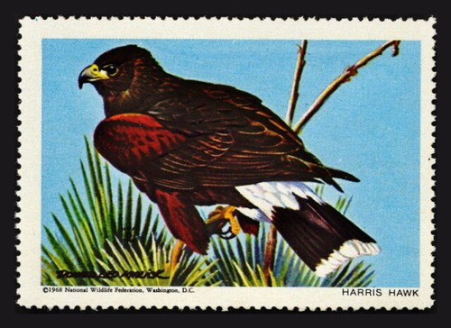 National wildlife federation - national,
