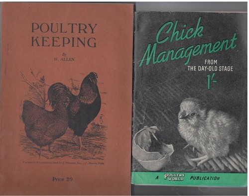 Poultry keeping chick - keeping, &