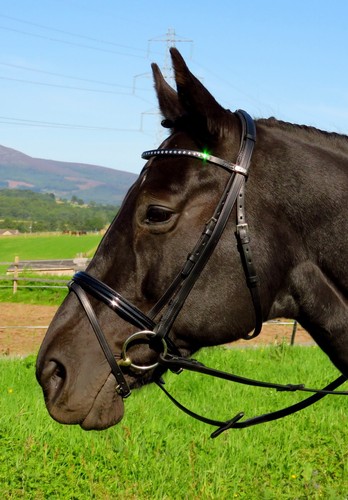 Stubben 2300 leitrim slim - stubben,