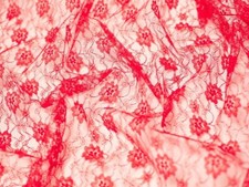 Delicate Lace Fabric 112.5cm / 45"  Wide  - per metre