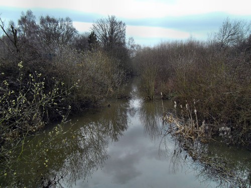 Photo 6x4 spring - 6x4,