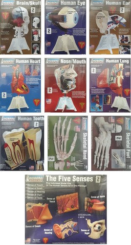 Lindberg science kit new - science,