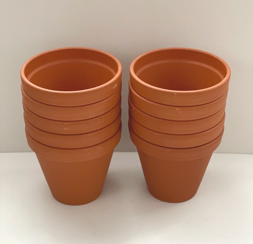 Traditional terracotta plant - traditional,