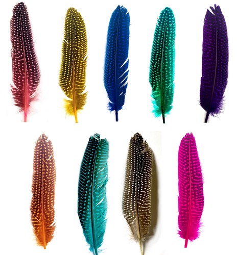 Feather guinea fowl wedding - feather,