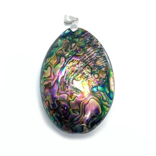 Seashell abalone shell - shell, pendant